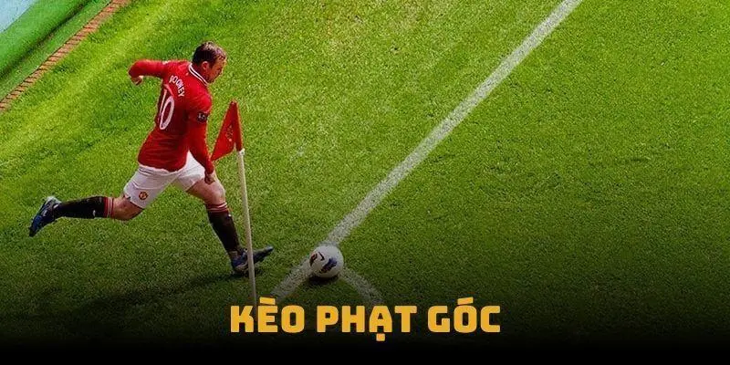 Đọc kèo phạt góc cơ bản cho các tân thủ